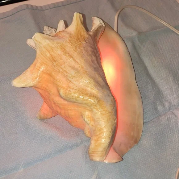Seashell Night Light - Picture 1 of 2